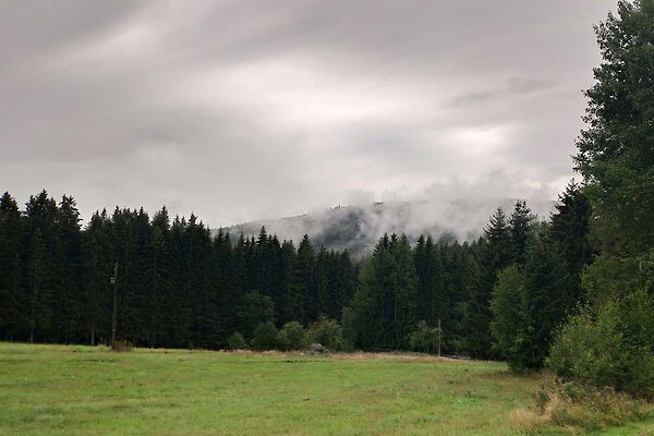 Natur im Bayerischen Wald